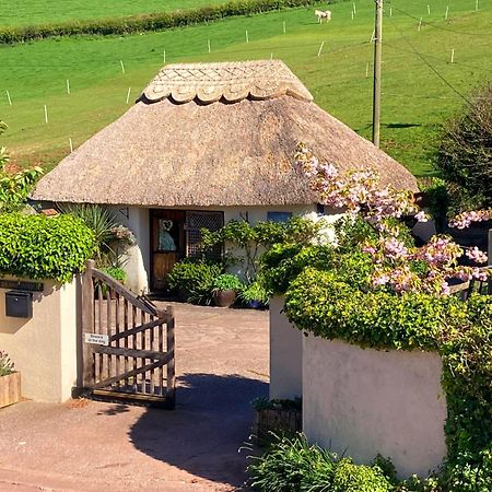 The Nest - Thatched Seaside Country Cottage For Two Stokeinteignhead Exteriér fotografie