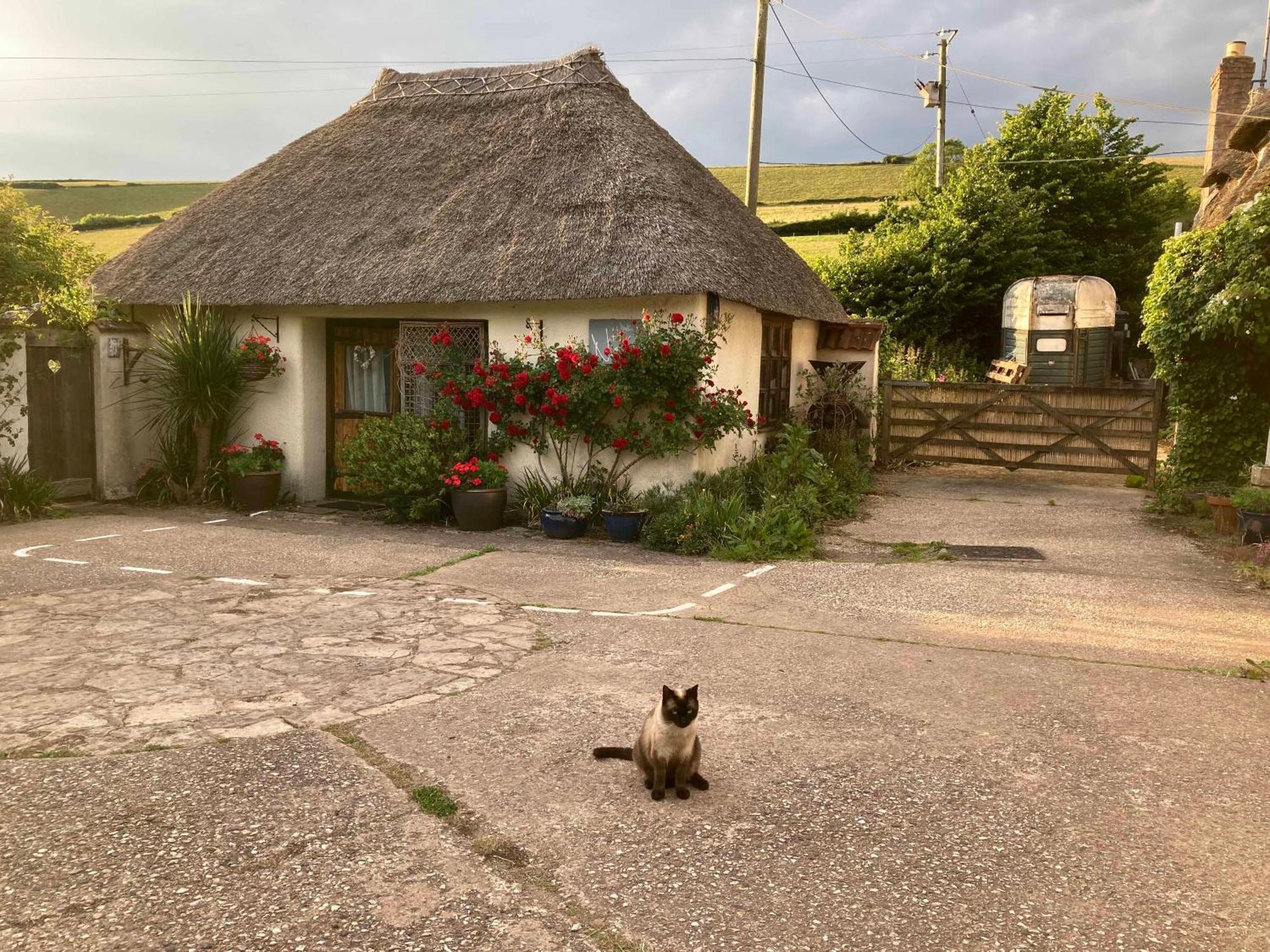 The Nest - Thatched Seaside Country Cottage For Two Stokeinteignhead Exteriér fotografie